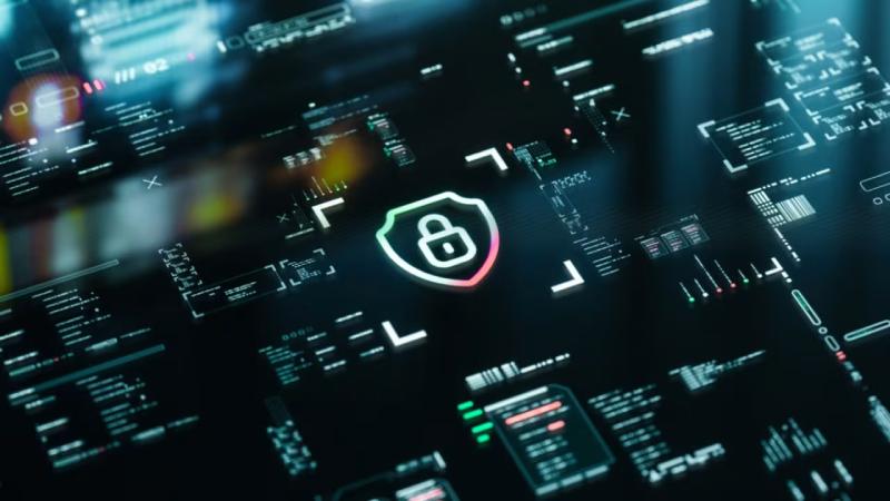 武穴市软件开发公司